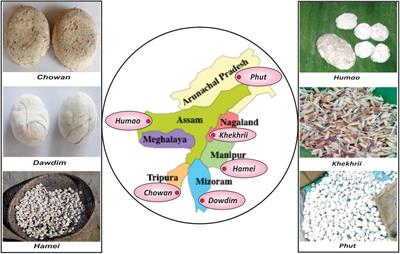 Mycobiome Diversity in Traditionally Prepared Starters for Alcoholic Beverages in India by High-Throughput Sequencing Method